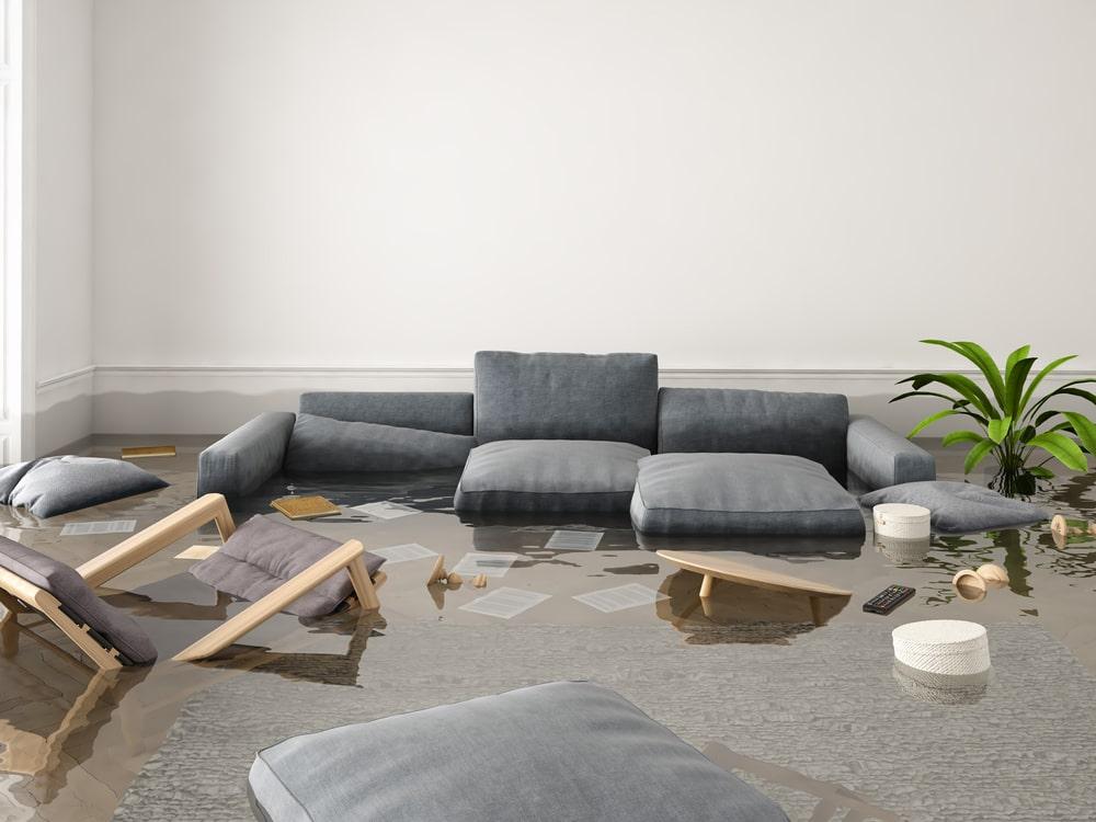 Questions To Ask Before You Hire a Water Damage Restoration Company