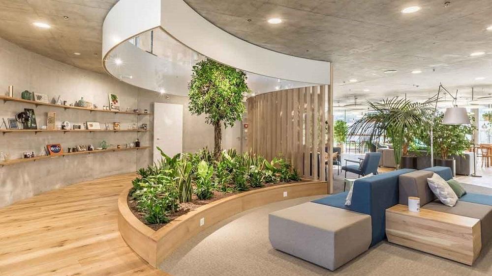 Bringing Nature Indoors: A Guide to Biophilic Design